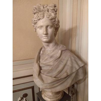 Apollon Du Belvédère Sculpture En Marbre, Renaissance.