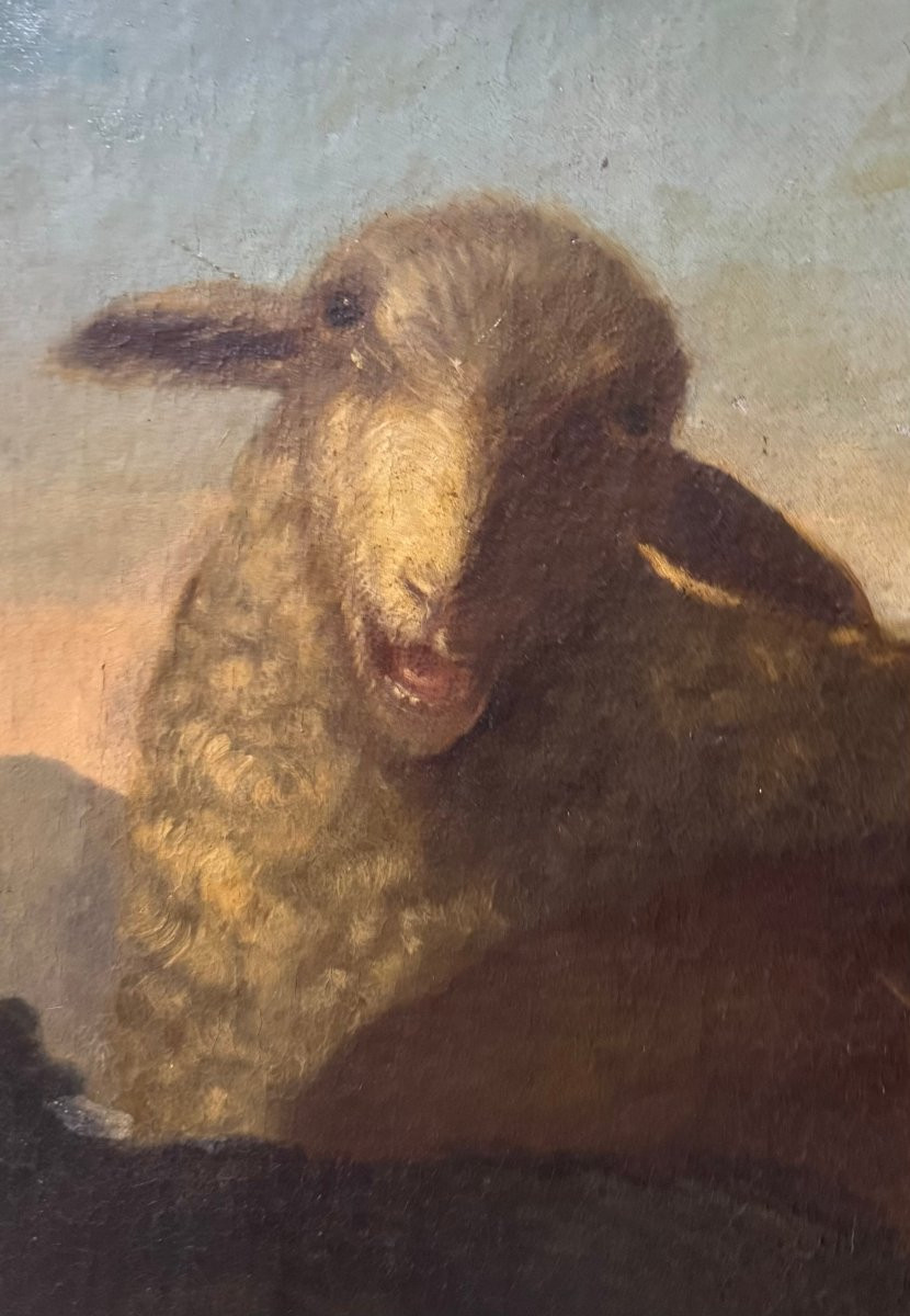 ROSA DA TIVOLI – DIPINTO SU TELA “SCENA PASTORALE CON CAPRA, PECORE E CANE"-photo-5