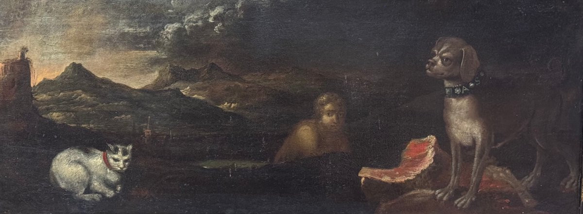 Scena mitologica o allegorica con figura maschile, cane e gatto – Dipinto su tela XVII secolo-photo-3