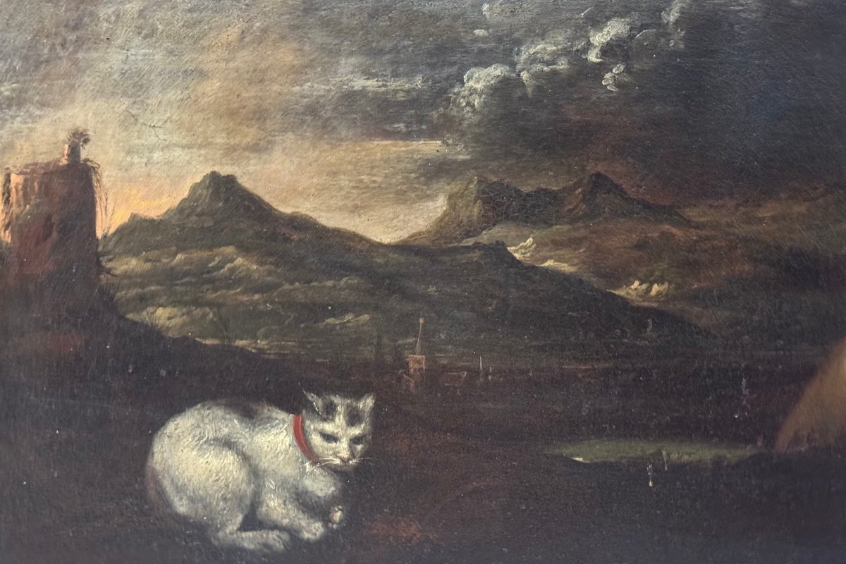 Scena mitologica o allegorica con figura maschile, cane e gatto – Dipinto su tela XVII secolo-photo-4