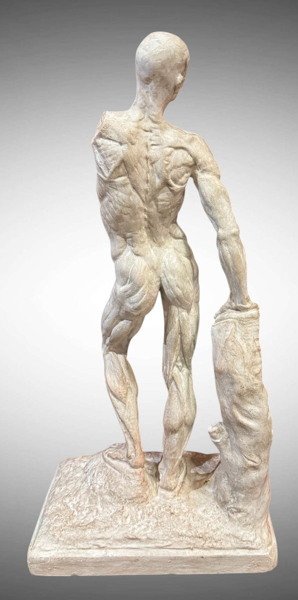 Spellato o Scorticato Statua in gesso – Ercole Lelli-photo-3