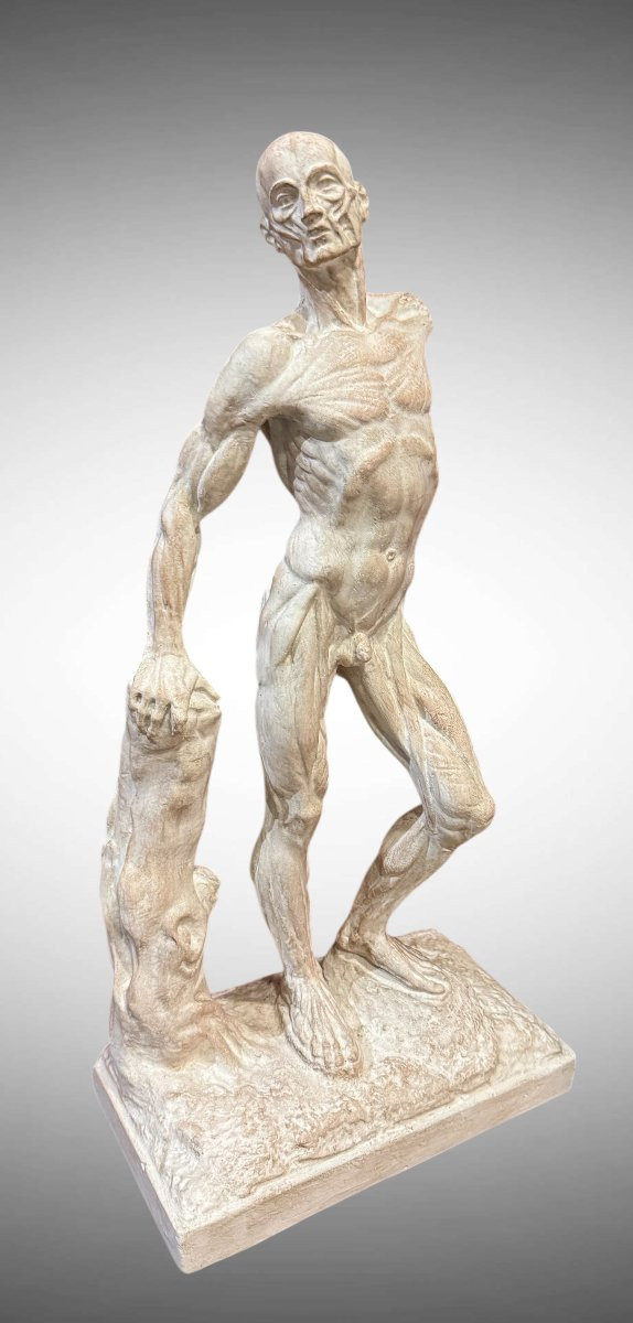 Spellato o Scorticato Statua in gesso – Ercole Lelli-photo-4