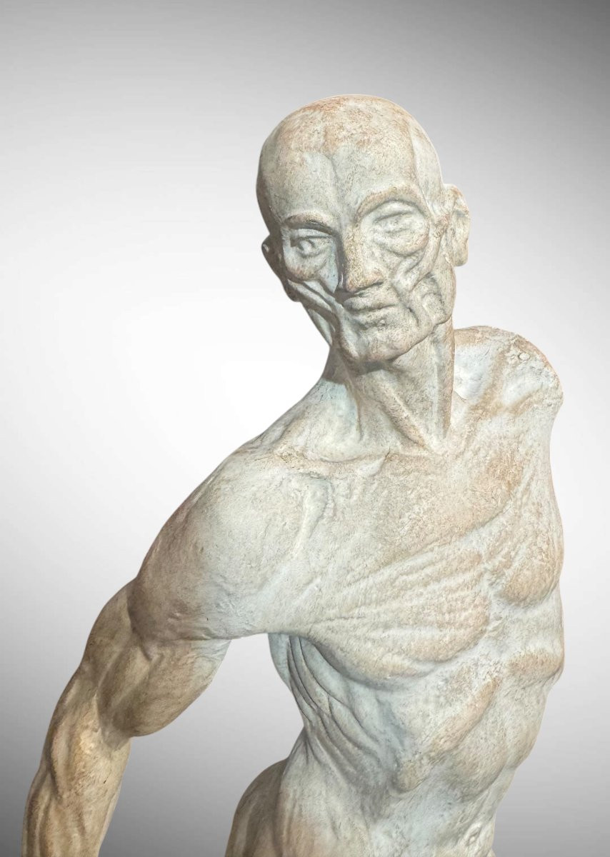 Spellato o Scorticato Statua in gesso – Ercole Lelli-photo-1