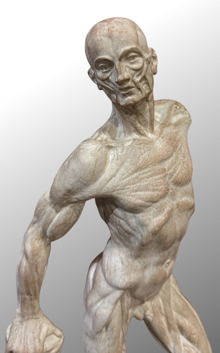 Spellato o Scorticato Statua in gesso – Ercole Lelli-photo-5