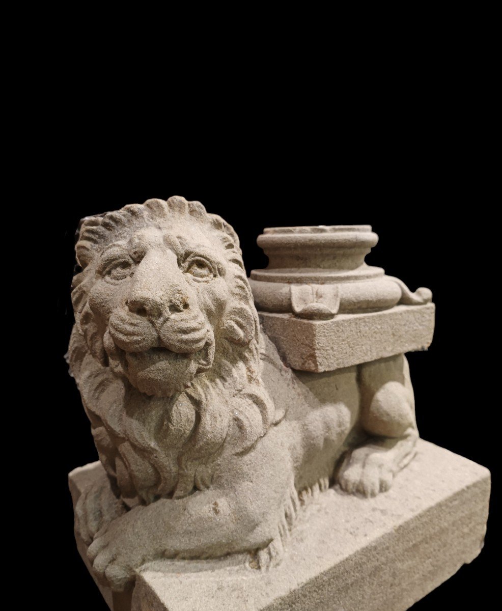 Coppia di leoni scolpiti in pietra serena. Toscana ,XVIII secolo.-photo-2
