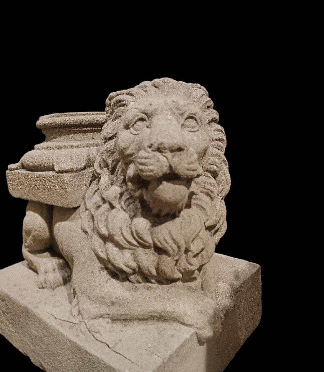 Coppia di leoni scolpiti in pietra serena. Toscana ,XVIII secolo.-photo-3