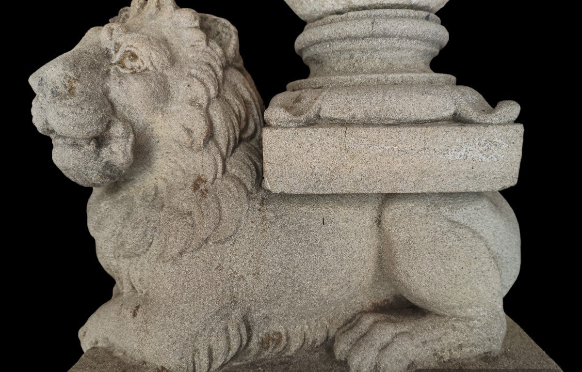 Coppia di leoni scolpiti in pietra serena. Toscana ,XVIII secolo.-photo-4
