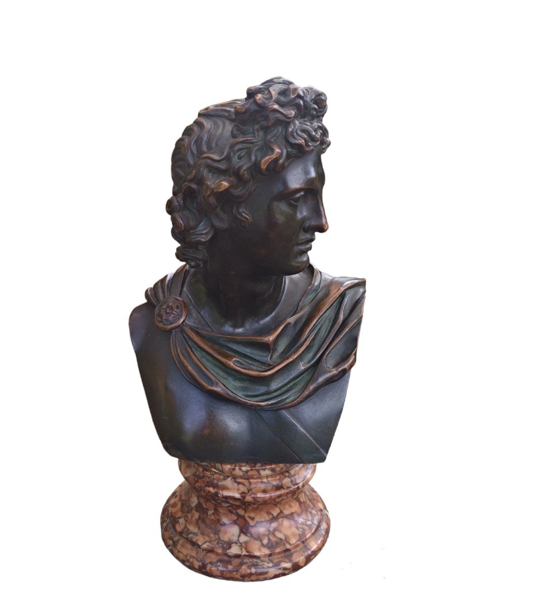 Busto in bronzo  raffigurante l' Apollo del Belvedere. Francia,seconda metà XIX secolo.