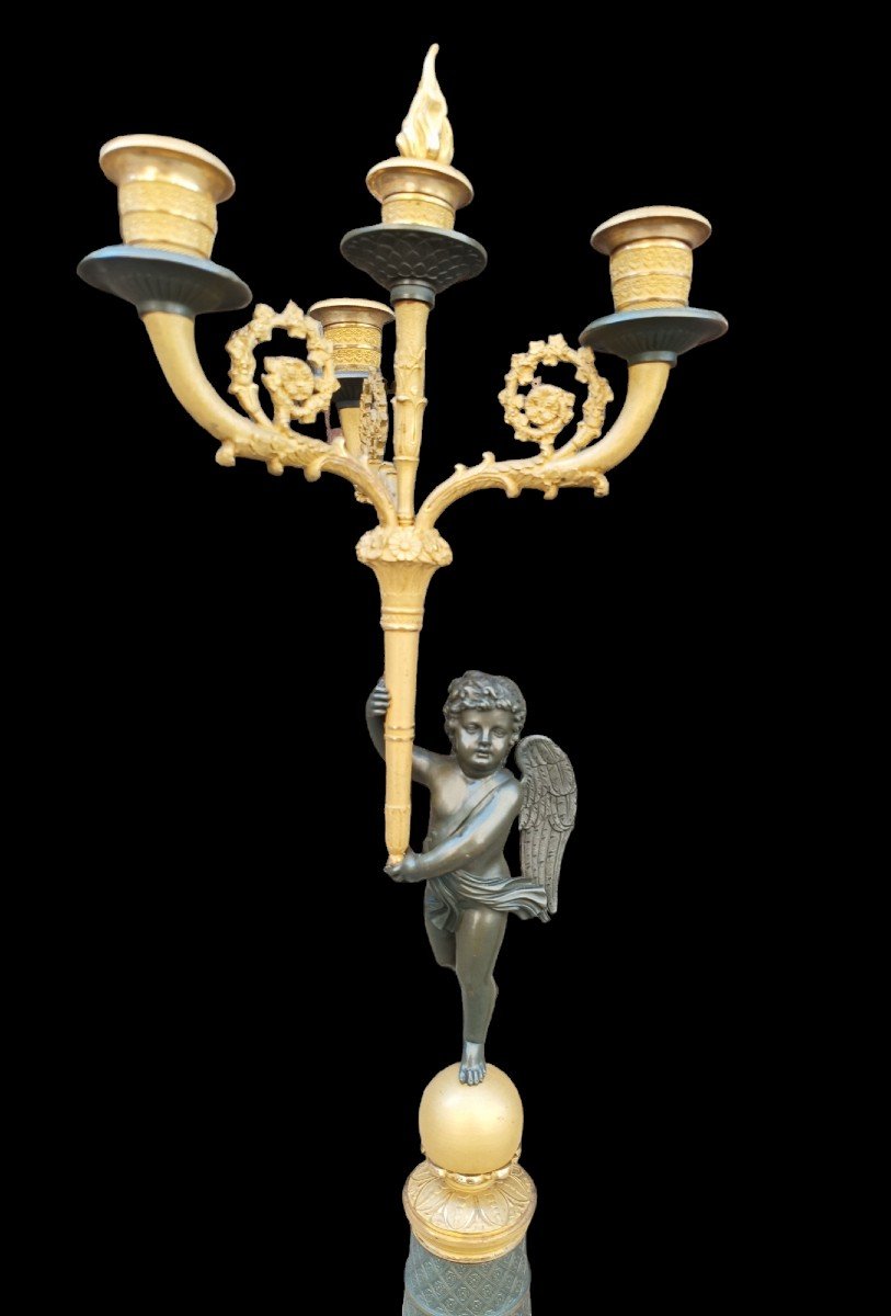 Coppia di candelabri in bronzo cesellato dorato e brunito. Francia,periodo Carlo X(1824-1830).-photo-3