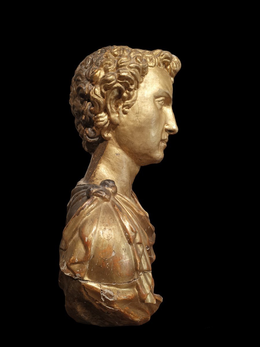 Busto maschile  all'antica in legno  dorato. Italia,XVII secolo.-photo-3
