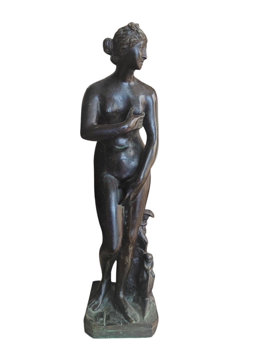 Scultura bronzo grand tour raffigurante Venere. Italia,XIX secolo.