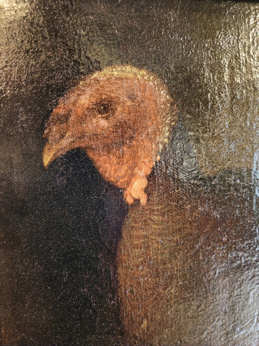 Olio su tela raffigurante tacchino.Cerchia di Bartolomeo Bimbi(1648-1729).-photo-2