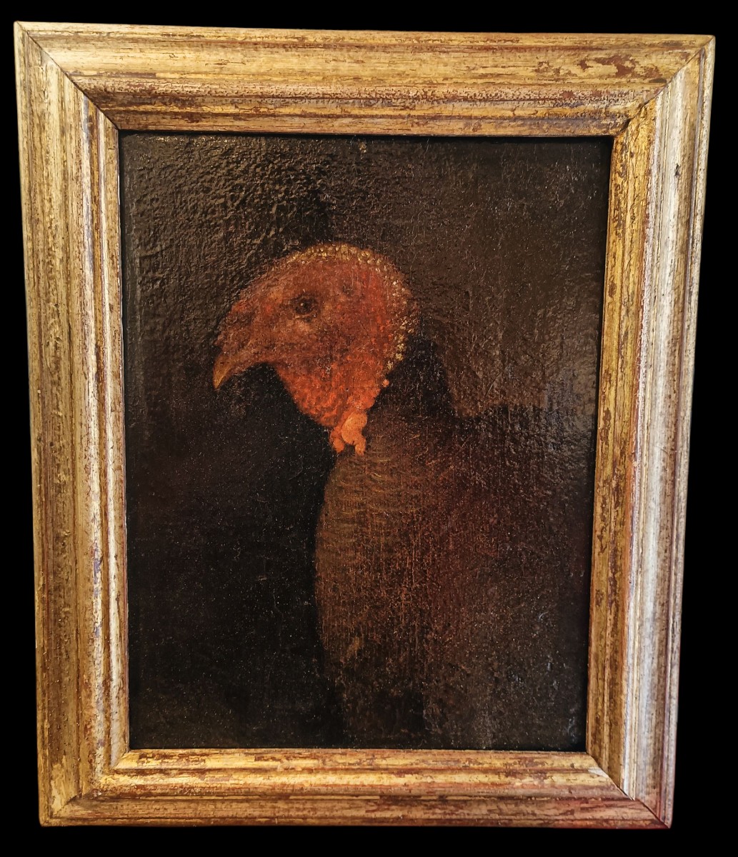 Olio su tela raffigurante tacchino.Cerchia di Bartolomeo Bimbi(1648-1729).