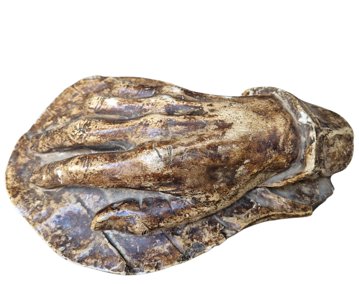 Mano in gesso patinato.Italia,XIX secolo.