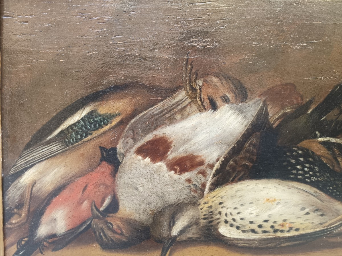 Natura morta ad olio su tavola.Cerchia di Baldassarre de Caro(Napoli-1689-1750)-photo-3