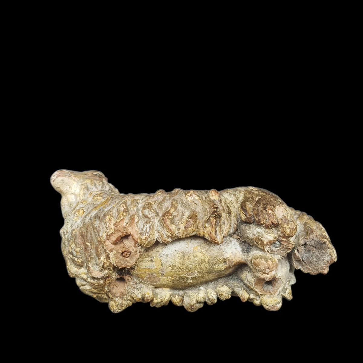 Scultura in terracotta raffigurante pecora.Italia,XVIII secolo.-photo-4