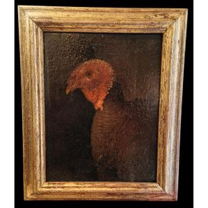 Olio su tela raffigurante tacchino.Cerchia di Bartolomeo Bimbi(1648-1729).