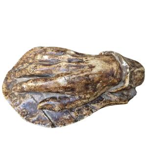 Mano in gesso patinato.Italia,XIX secolo.