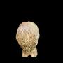 1833928-6ac641c85503a.jpg