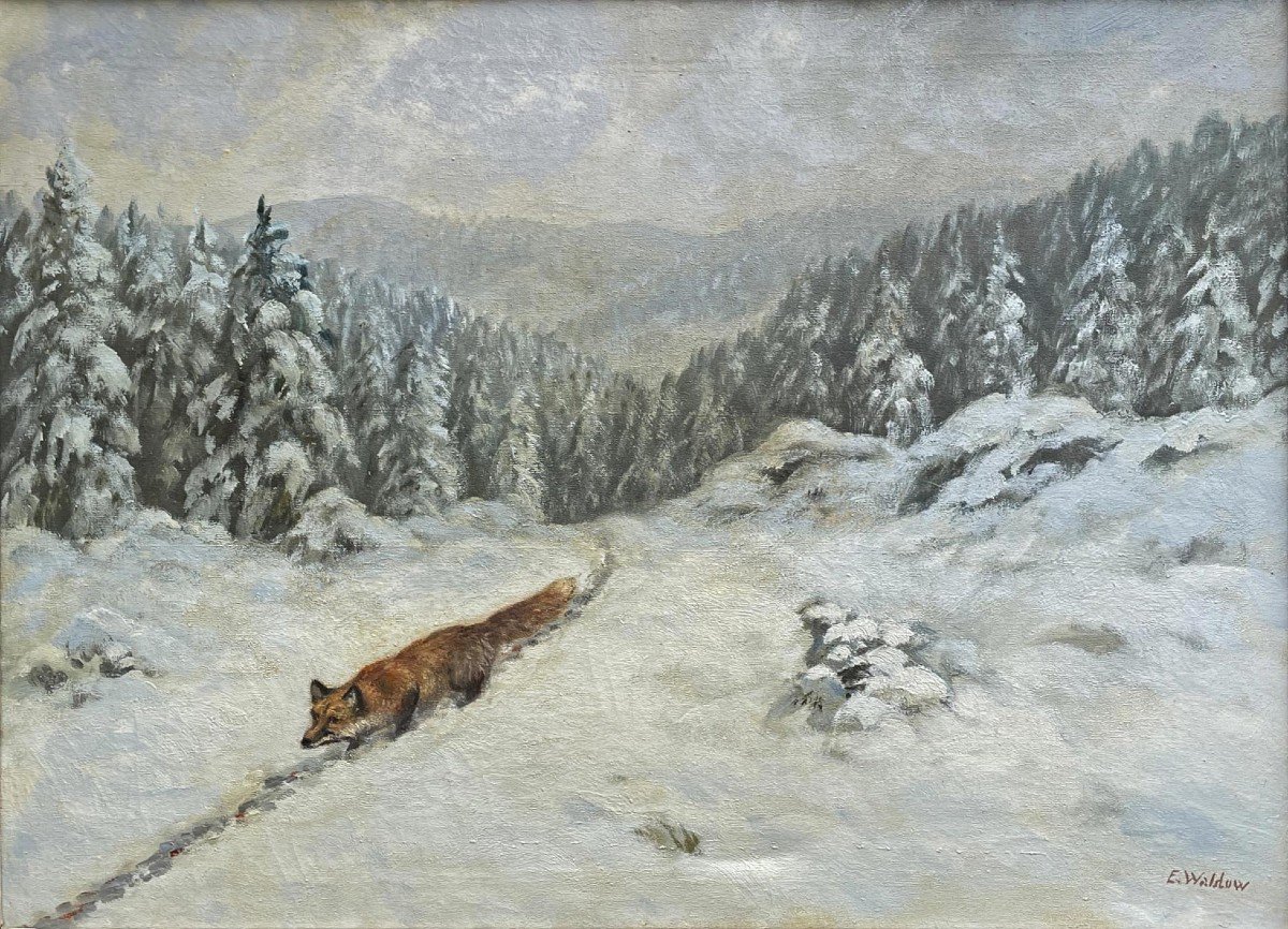 Erwin Waldow - Volpe nella neve-photo-2