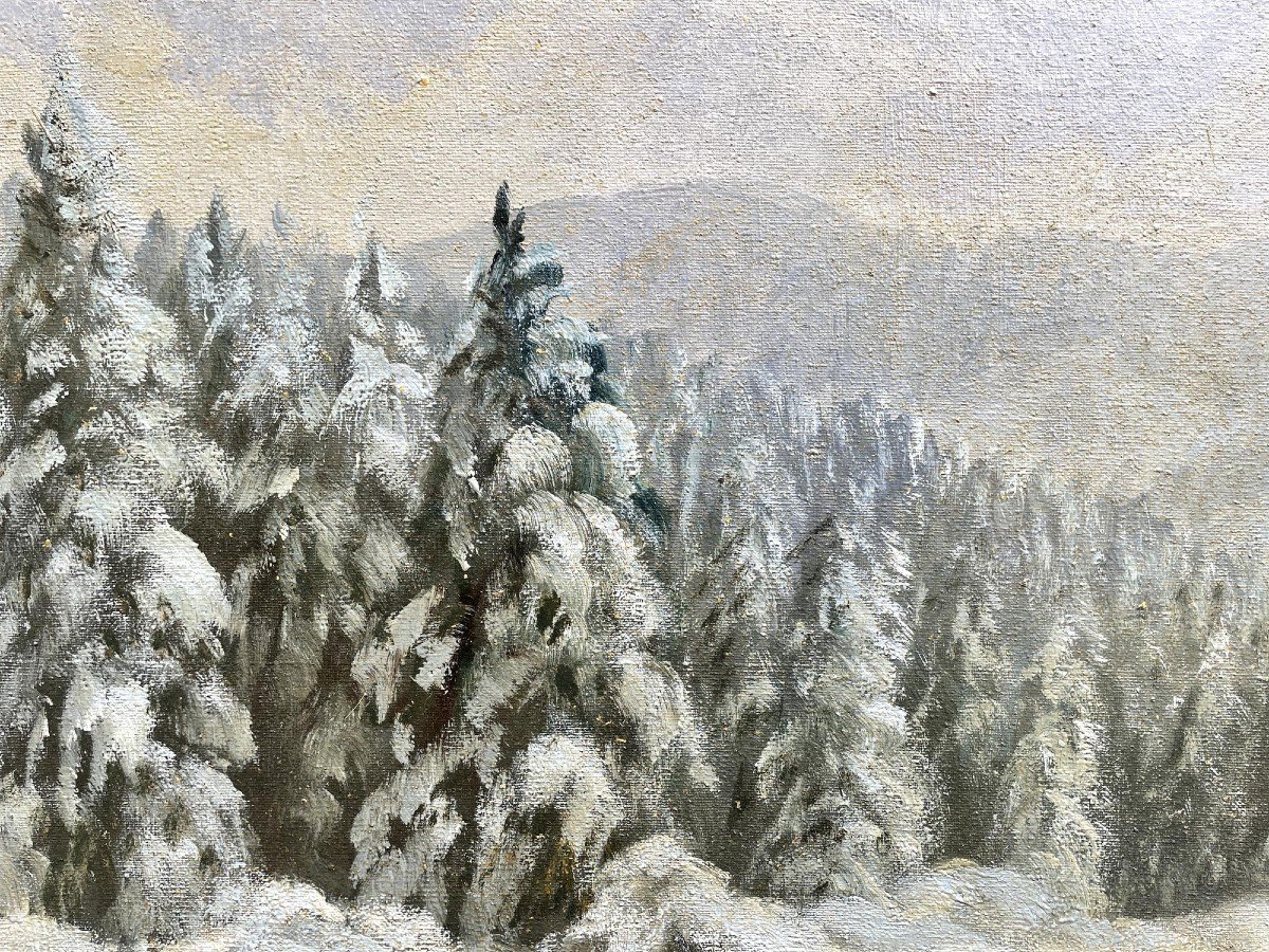 Erwin Waldow - Volpe nella neve-photo-2