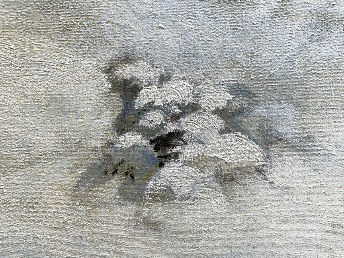 Erwin Waldow - Volpe nella neve-photo-3