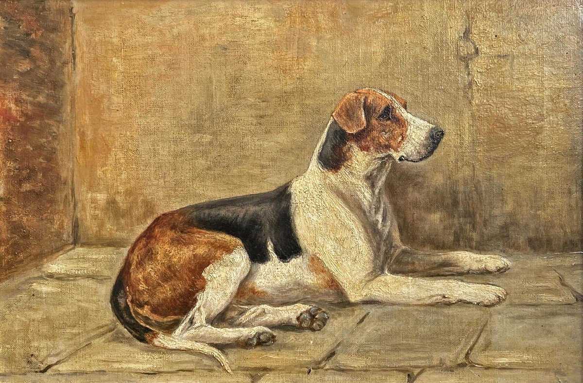 Dipinti con cani - Foxhound - fine XIX secolo -photo-2