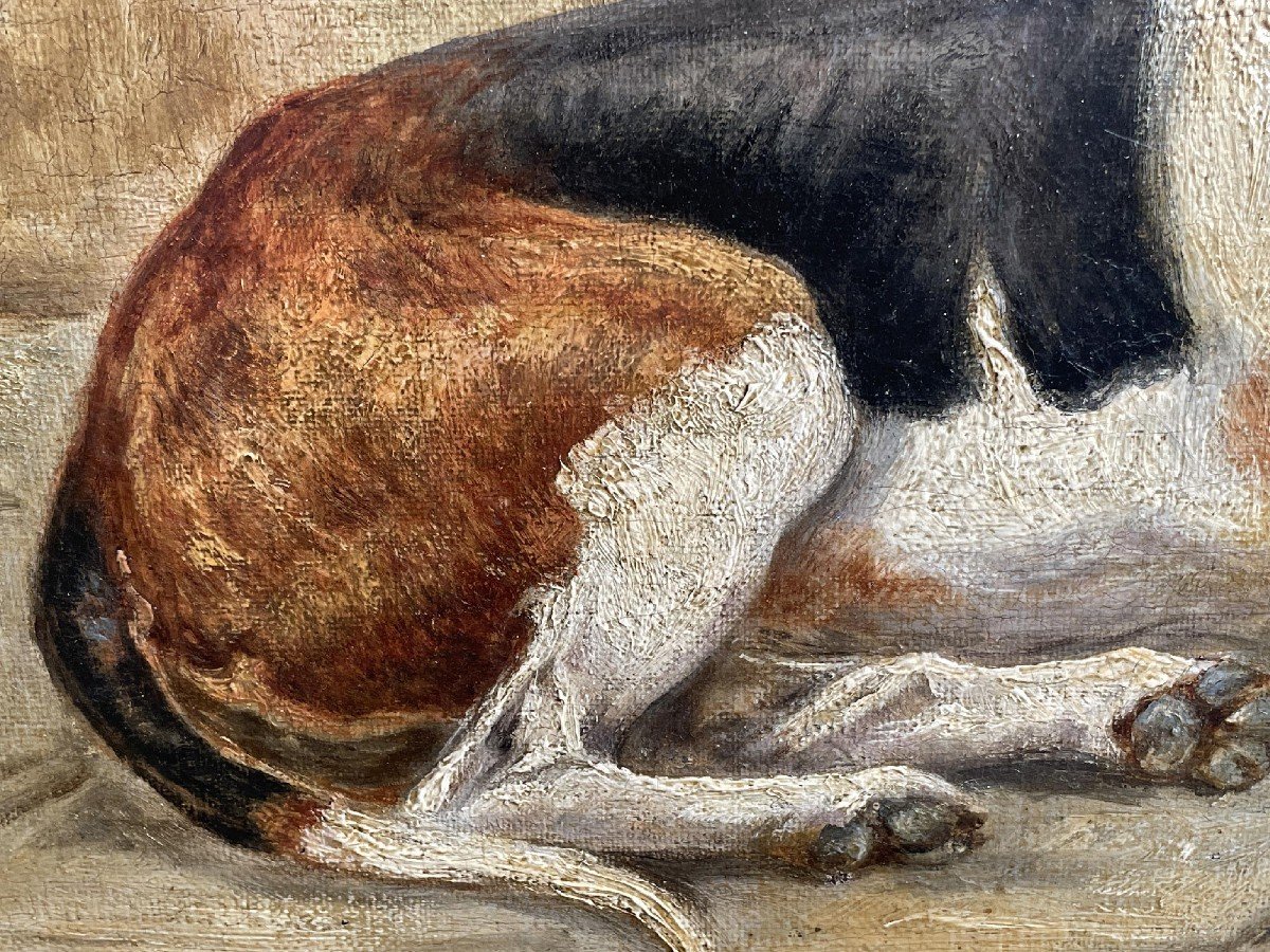 Dipinti con cani - Foxhound - fine XIX secolo -photo-2