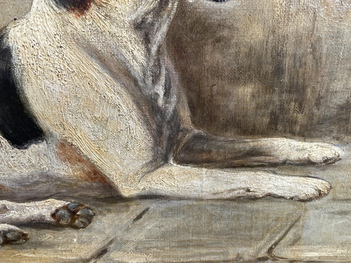 Dipinti con cani - Foxhound - fine XIX secolo -photo-3
