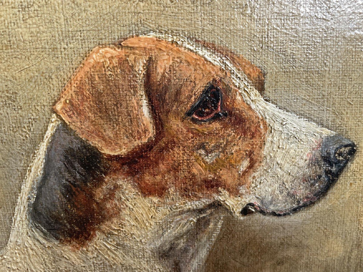 Dipinti con cani - Foxhound - fine XIX secolo -photo-5