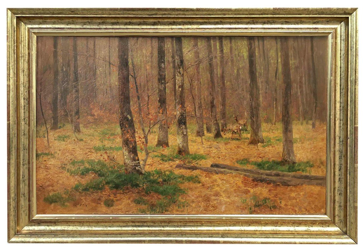 Capriolo nel bosco – Nelson Gray Kinsley (1863 – 1945) -photo-4
