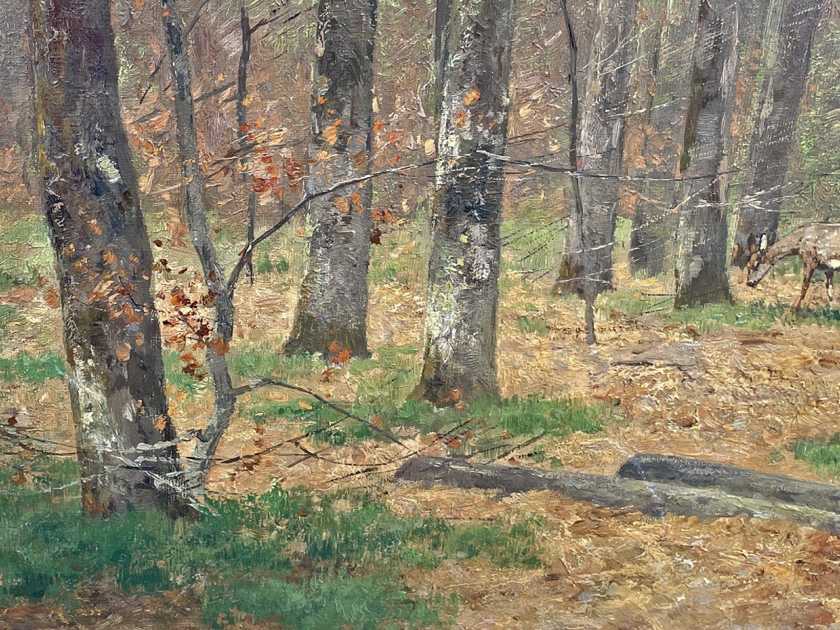 Capriolo nel bosco – Nelson Gray Kinsley (1863 – 1945) -photo-7