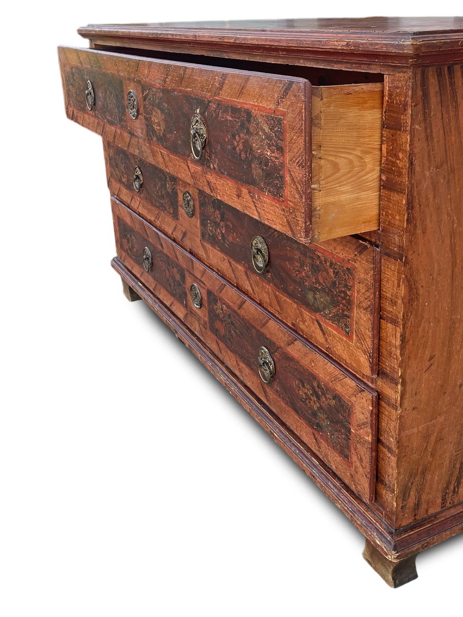 Cassettone tirolese datato 1840 -photo-7