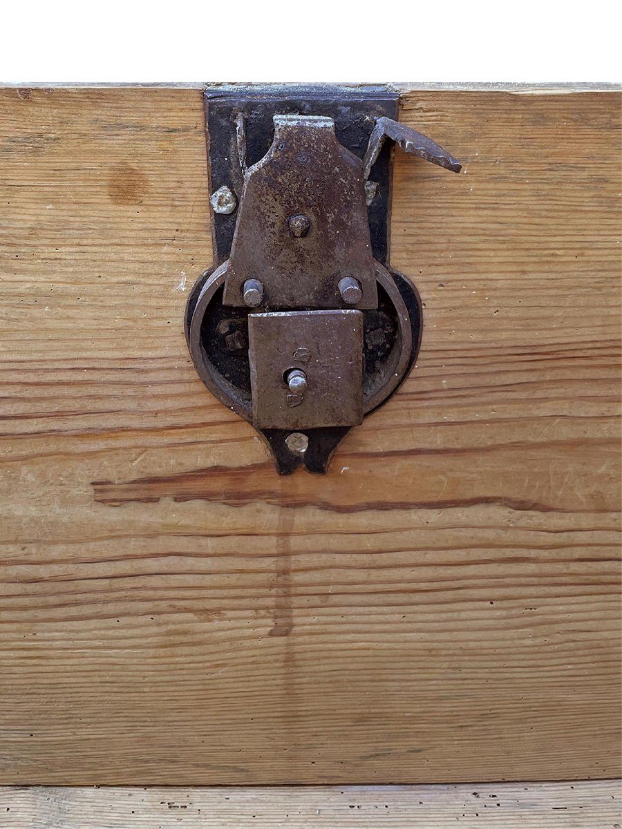 Cassapanca Dipinta datata 1800-photo-6