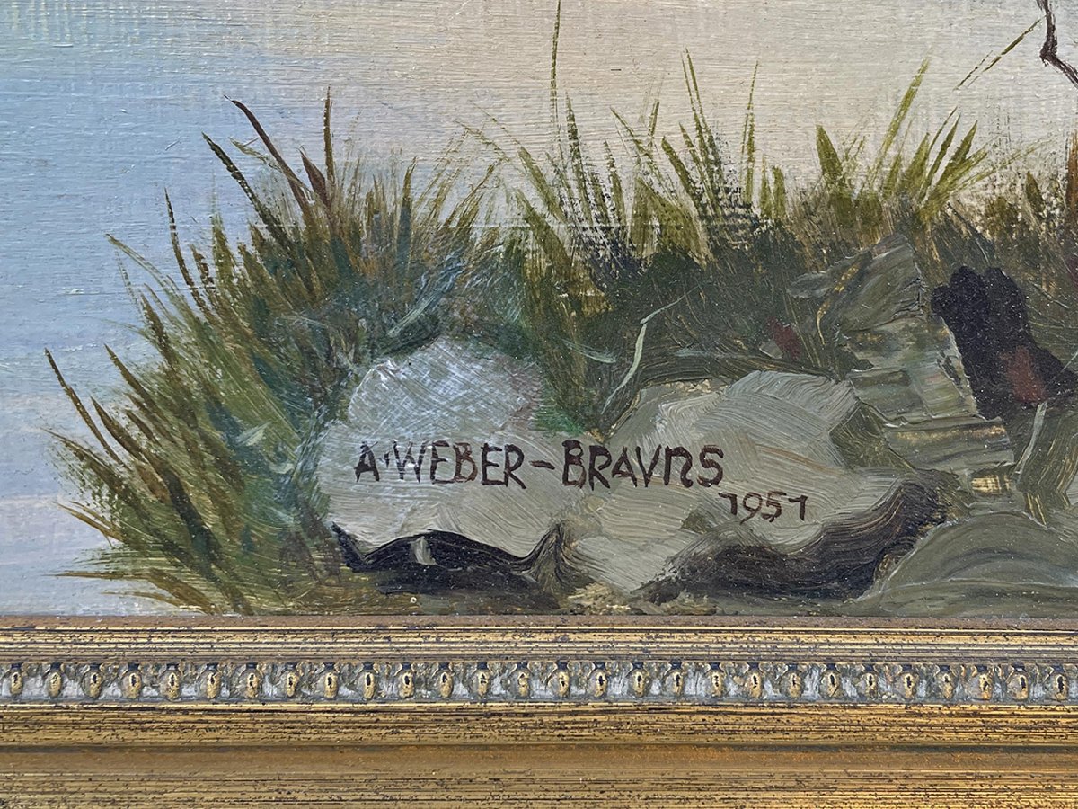 Paesaggio Alpino con Lago nell’Ötztal – August Weber-Brauns-photo-1