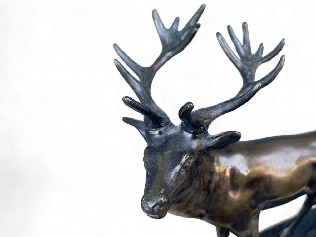 Statua di Cervo in Bronzo-photo-2
