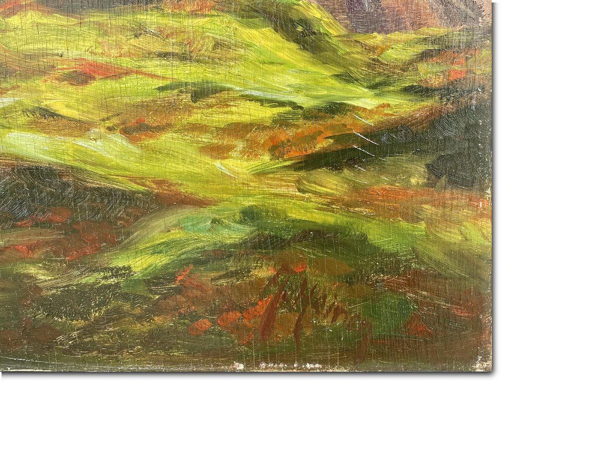 Jungfrau – Heinen -photo-4