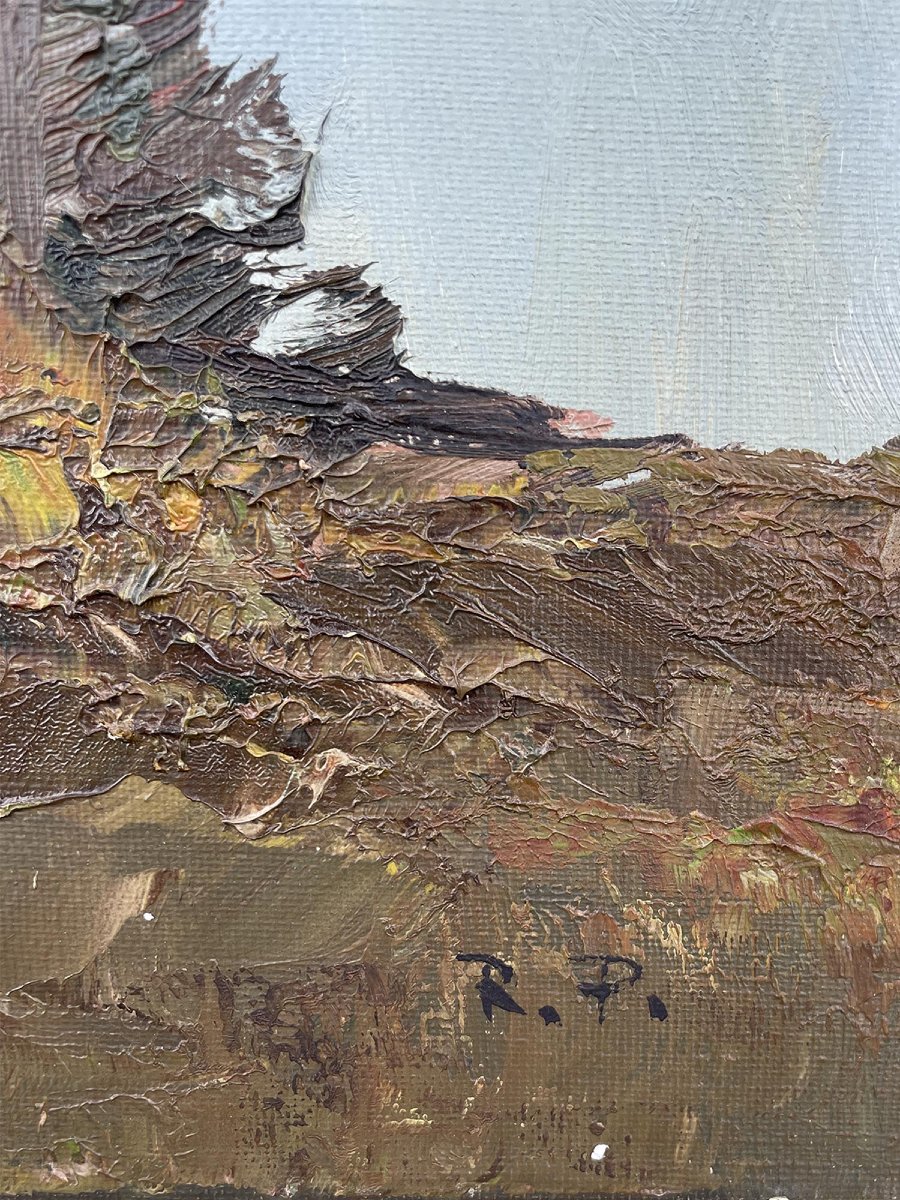 Il Cimon della Pala-photo-3