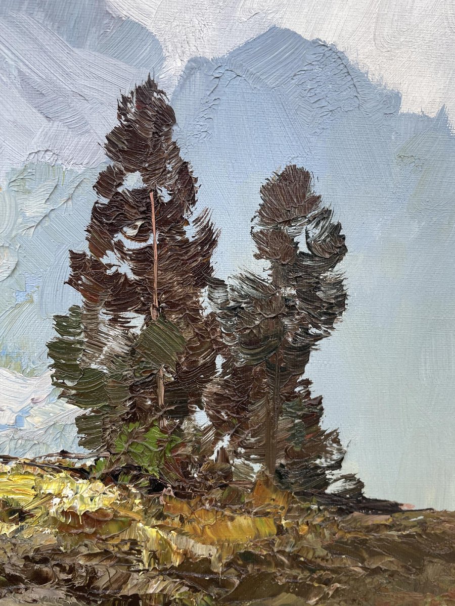 Il Cimon della Pala-photo-1