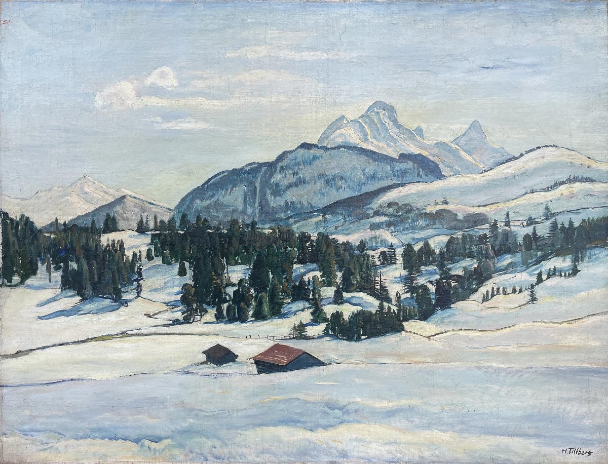 Paesaggio alpino innevato – Harald Tillberg -photo-3