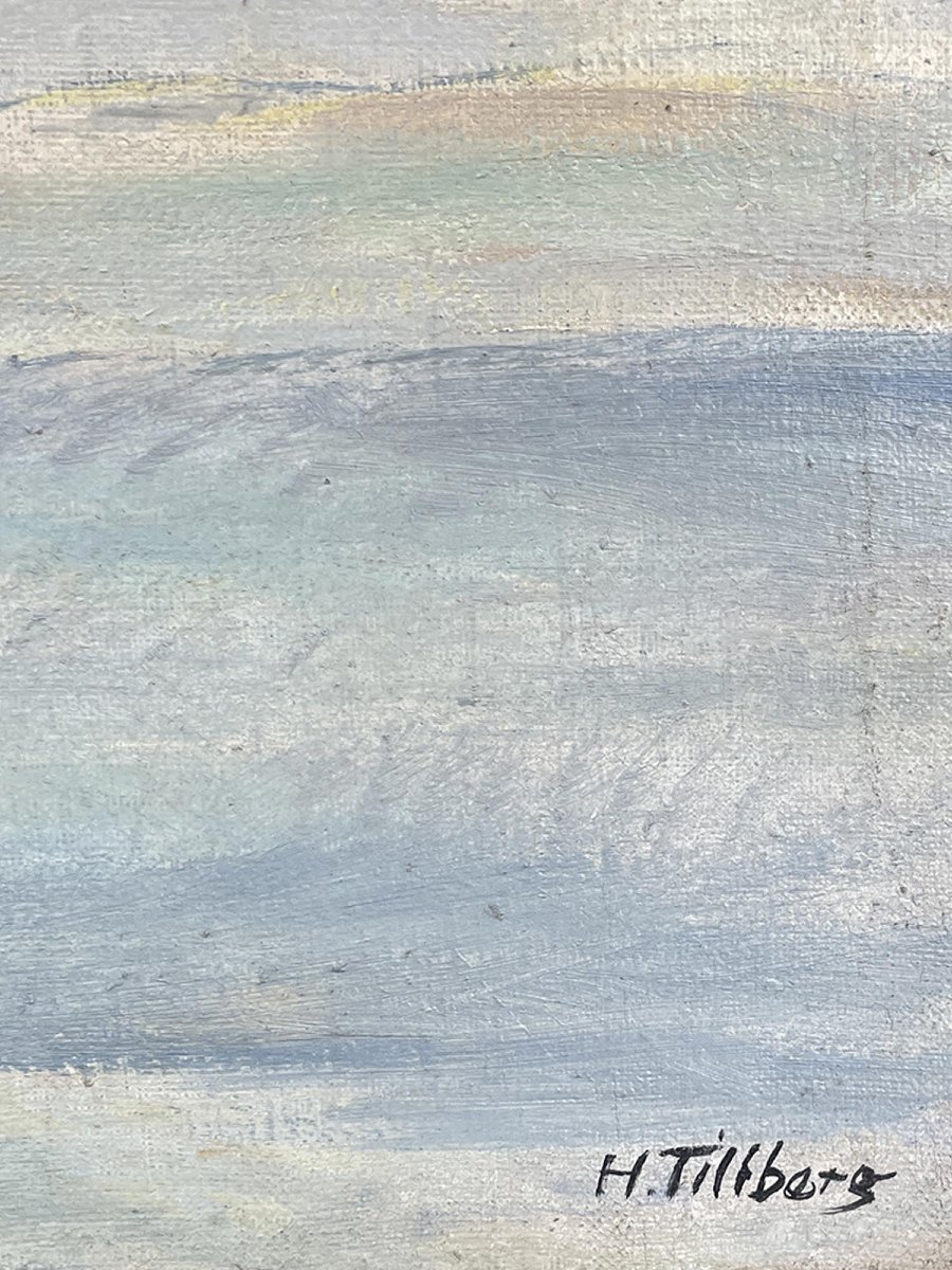 Paesaggio alpino innevato – Harald Tillberg -photo-1