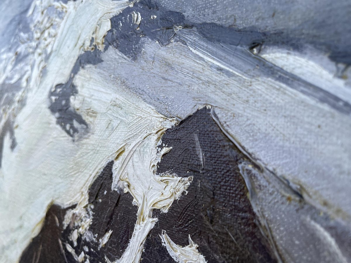 Massiccio del Bernina, H. Horn  -photo-6