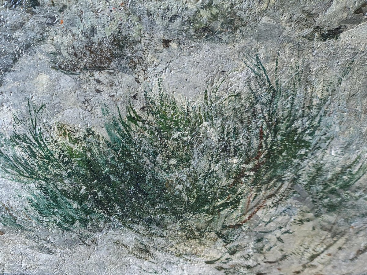 Paesaggio Notturno con Neve -photo-2