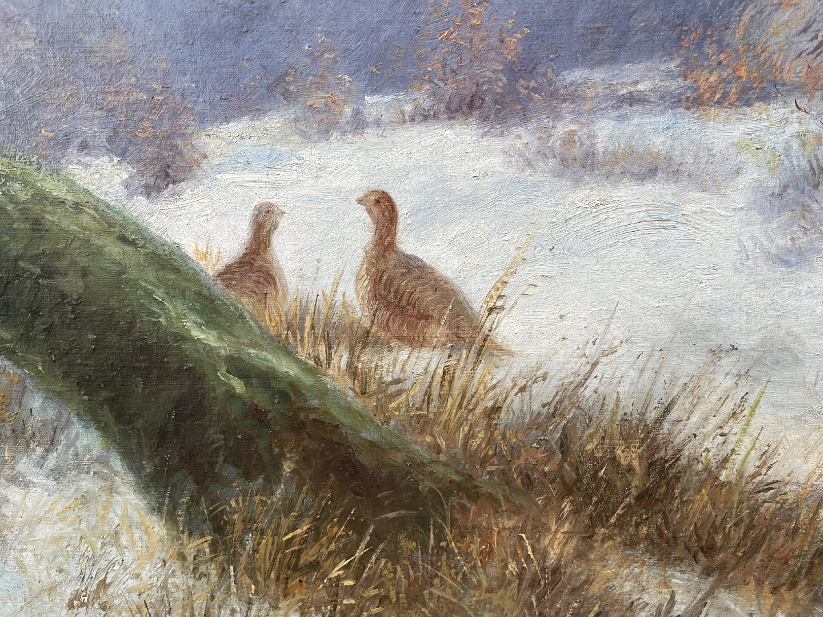 Paesaggio Invernale con Gallo Cedrone-photo-2