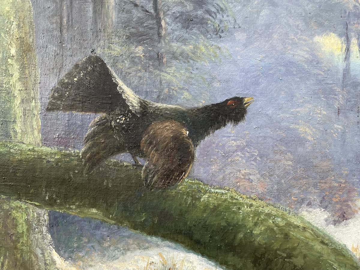 Paesaggio Invernale con Gallo Cedrone-photo-4