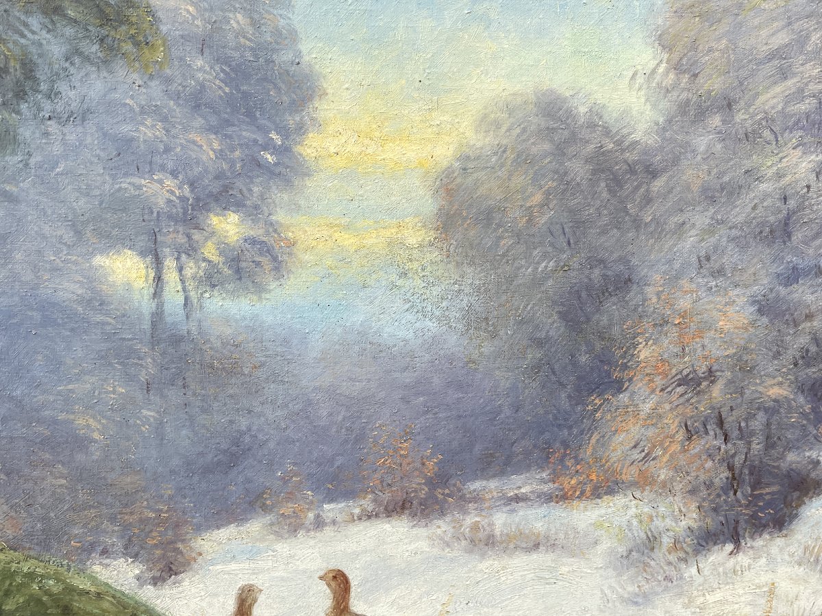 Paesaggio Invernale con Gallo Cedrone-photo-1