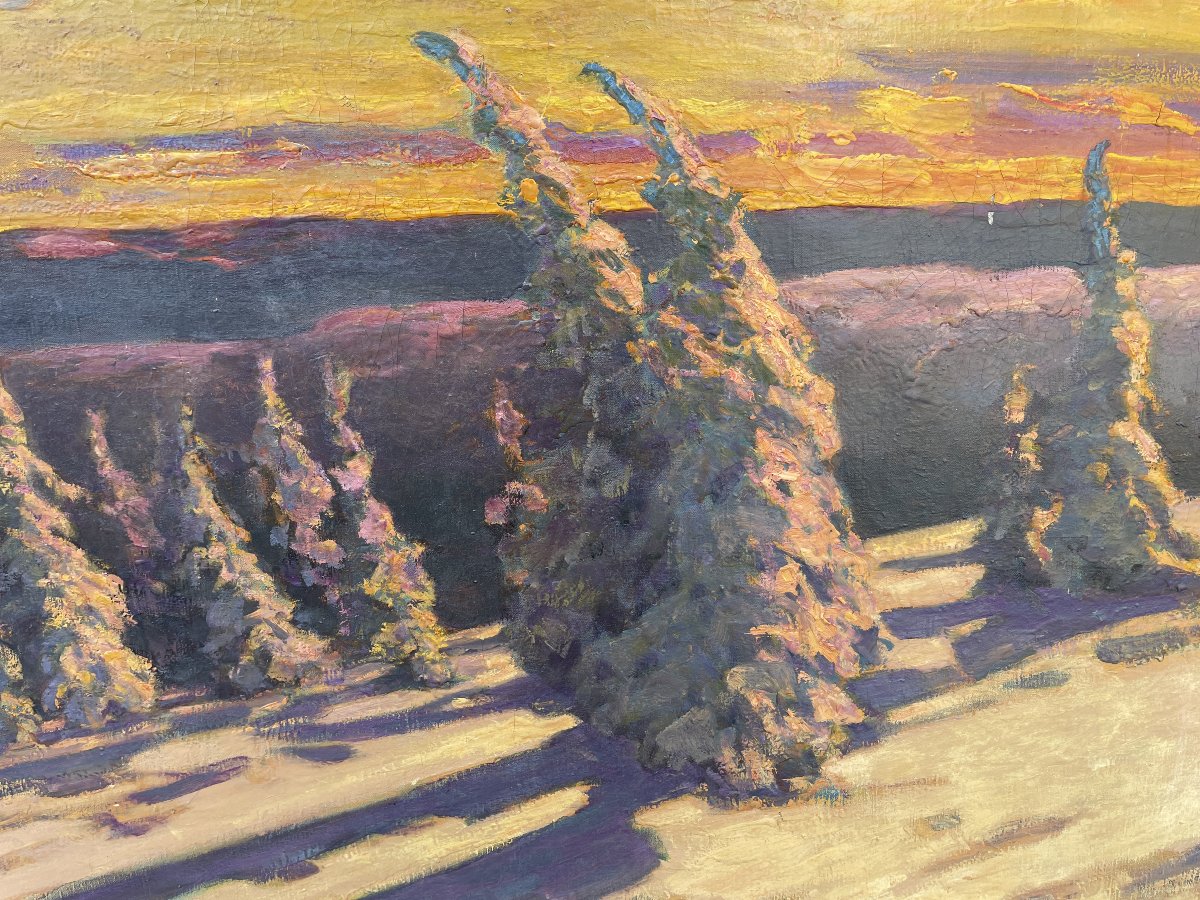 Abeti Innevati al Tramonto-photo-3