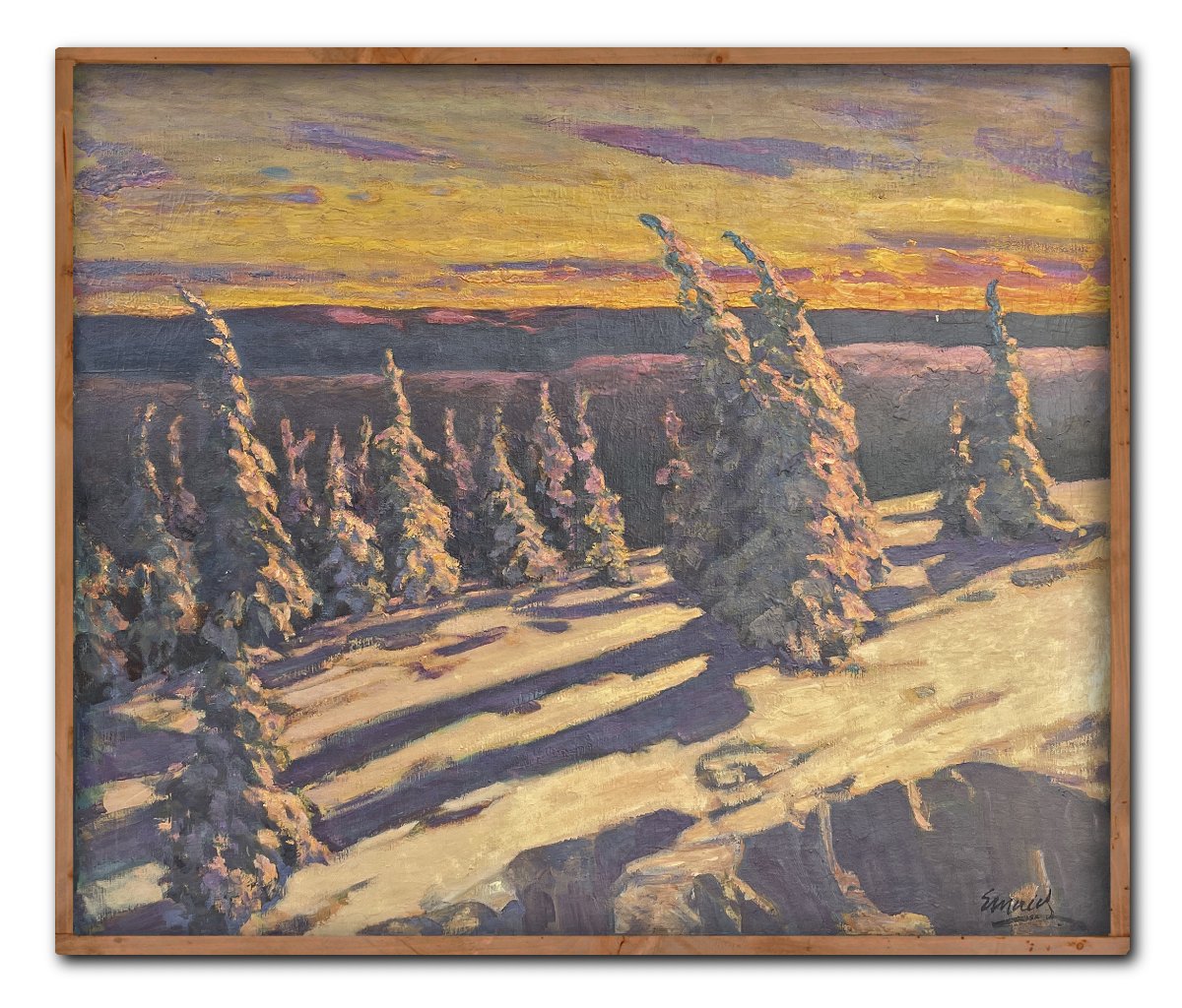 Abeti Innevati al Tramonto