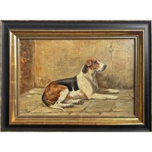 Dipinti con cani - Foxhound - fine XIX secolo 