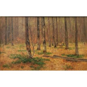 Capriolo nel bosco – Nelson Gray Kinsley (1863 – 1945) 
